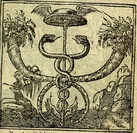 An illustration from Omnia D. And. Alciati Emblemata : ad qvae singula praeter concinnas acutásque inscriptiones, lepidas & expressas imagines, ac caetera omnia, quae prioribus nostris editionibus cùm ad eorum distinctionem, tum ad ornatum & correctionem adhibita continebantur, : nunc primùm perelegantia persubtiliaq́ [ue] (1564)