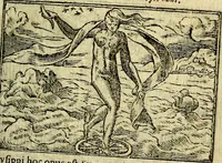 An illustration from Omnia D. And. Alciati Emblemata : ad qvae singula praeter concinnas acutásque inscriptiones, lepidas & expressas imagines, ac caetera omnia, quae prioribus nostris editionibus cùm ad eorum distinctionem, tum ad ornatum & correctionem adhibita continebantur, : nunc primùm perelegantia persubtiliaq́ [ue] (1564)