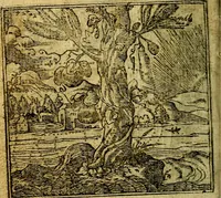 An illustration from Omnia D. And. Alciati Emblemata : ad qvae singula praeter concinnas acutásque inscriptiones, lepidas & expressas imagines, ac caetera omnia, quae prioribus nostris editionibus cùm ad eorum distinctionem, tum ad ornatum & correctionem adhibita continebantur, : nunc primùm perelegantia persubtiliaq́ [ue] (1564)