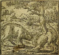 An illustration from Omnia D. And. Alciati Emblemata : ad qvae singula praeter concinnas acutásque inscriptiones, lepidas & expressas imagines, ac caetera omnia, quae prioribus nostris editionibus cùm ad eorum distinctionem, tum ad ornatum & correctionem adhibita continebantur, : nunc primùm perelegantia persubtiliaq́ [ue] (1564)