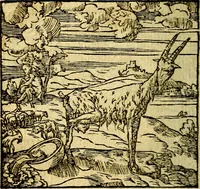 Picture 157 of 246 from Omnia D. And. Alciati Emblemata : ad qvae singula praeter concinnas acutásque inscriptiones, lepidas & expressas imagines, ac caetera omnia, quae prioribus nostris editionibus cùm ad eorum distinctionem, tum ad ornatum & correctionem adhibita continebantur, : nunc primùm perelegantia persubtiliaq́ [ue] (1564), leaf 161