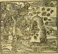 An illustration from Omnia D. And. Alciati Emblemata : ad qvae singula praeter concinnas acutásque inscriptiones, lepidas & expressas imagines, ac caetera omnia, quae prioribus nostris editionibus cùm ad eorum distinctionem, tum ad ornatum & correctionem adhibita continebantur, : nunc primùm perelegantia persubtiliaq́ [ue] (1564)
