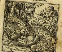 An illustration from Omnia D. And. Alciati Emblemata : ad qvae singula praeter concinnas acutásque inscriptiones, lepidas & expressas imagines, ac caetera omnia, quae prioribus nostris editionibus cùm ad eorum distinctionem, tum ad ornatum & correctionem adhibita continebantur, : nunc primùm perelegantia persubtiliaq́ [ue] (1564)