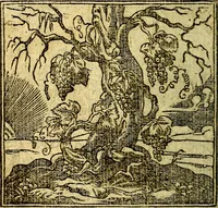 An illustration from Omnia D. And. Alciati Emblemata : ad qvae singula praeter concinnas acutásque inscriptiones, lepidas & expressas imagines, ac caetera omnia, quae prioribus nostris editionibus cùm ad eorum distinctionem, tum ad ornatum & correctionem adhibita continebantur, : nunc primùm perelegantia persubtiliaq́ [ue] (1564)