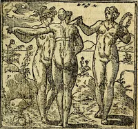 An illustration from Omnia D. And. Alciati Emblemata : ad qvae singula praeter concinnas acutásque inscriptiones, lepidas & expressas imagines, ac caetera omnia, quae prioribus nostris editionibus cùm ad eorum distinctionem, tum ad ornatum & correctionem adhibita continebantur, : nunc primùm perelegantia persubtiliaq́ [ue] (1564)