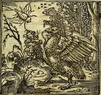 An illustration from Omnia D. And. Alciati Emblemata : ad qvae singula praeter concinnas acutásque inscriptiones, lepidas & expressas imagines, ac caetera omnia, quae prioribus nostris editionibus cùm ad eorum distinctionem, tum ad ornatum & correctionem adhibita continebantur, : nunc primùm perelegantia persubtiliaq́ [ue] (1564)