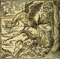 An illustration from Omnia D. And. Alciati Emblemata : ad qvae singula praeter concinnas acutásque inscriptiones, lepidas & expressas imagines, ac caetera omnia, quae prioribus nostris editionibus cùm ad eorum distinctionem, tum ad ornatum & correctionem adhibita continebantur, : nunc primùm perelegantia persubtiliaq́ [ue] (1564)