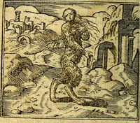 An illustration from Omnia D. And. Alciati Emblemata : ad qvae singula praeter concinnas acutásque inscriptiones, lepidas & expressas imagines, ac caetera omnia, quae prioribus nostris editionibus cùm ad eorum distinctionem, tum ad ornatum & correctionem adhibita continebantur, : nunc primùm perelegantia persubtiliaq́ [ue] (1564)