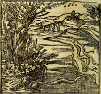 An illustration from Omnia D. And. Alciati Emblemata : ad qvae singula praeter concinnas acutásque inscriptiones, lepidas & expressas imagines, ac caetera omnia, quae prioribus nostris editionibus cùm ad eorum distinctionem, tum ad ornatum & correctionem adhibita continebantur, : nunc primùm perelegantia persubtiliaq́ [ue] (1564)