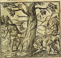 An illustration from Omnia D. And. Alciati Emblemata : ad qvae singula praeter concinnas acutásque inscriptiones, lepidas & expressas imagines, ac caetera omnia, quae prioribus nostris editionibus cùm ad eorum distinctionem, tum ad ornatum & correctionem adhibita continebantur, : nunc primùm perelegantia persubtiliaq́ [ue] (1564)