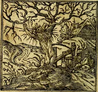 An illustration from Omnia D. And. Alciati Emblemata : ad qvae singula praeter concinnas acutásque inscriptiones, lepidas & expressas imagines, ac caetera omnia, quae prioribus nostris editionibus cùm ad eorum distinctionem, tum ad ornatum & correctionem adhibita continebantur, : nunc primùm perelegantia persubtiliaq́ [ue] (1564)