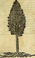 An illustration from Omnia D. And. Alciati Emblemata : ad qvae singula praeter concinnas acutásque inscriptiones, lepidas & expressas imagines, ac caetera omnia, quae prioribus nostris editionibus cùm ad eorum distinctionem, tum ad ornatum & correctionem adhibita continebantur, : nunc primùm perelegantia persubtiliaq́ [ue] (1564)