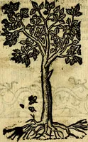 Picture 229 of 246 from Omnia D. And. Alciati Emblemata : ad qvae singula praeter concinnas acutásque inscriptiones, lepidas & expressas imagines, ac caetera omnia, quae prioribus nostris editionibus cùm ad eorum distinctionem, tum ad ornatum & correctionem adhibita continebantur, : nunc primùm perelegantia persubtiliaq́ [ue] (1564), leaf 238