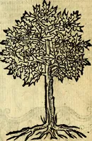 An illustration from Omnia D. And. Alciati Emblemata : ad qvae singula praeter concinnas acutásque inscriptiones, lepidas & expressas imagines, ac caetera omnia, quae prioribus nostris editionibus cùm ad eorum distinctionem, tum ad ornatum & correctionem adhibita continebantur, : nunc primùm perelegantia persubtiliaq́ [ue] (1564)