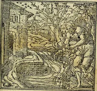 An illustration from Omnia D. And. Alciati Emblemata : ad qvae singula praeter concinnas acutásque inscriptiones, lepidas & expressas imagines, ac caetera omnia, quae prioribus nostris editionibus cùm ad eorum distinctionem, tum ad ornatum & correctionem adhibita continebantur, : nunc primùm perelegantia persubtiliaq́ [ue] (1564)