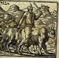 An illustration from Omnia D. And. Alciati Emblemata : ad qvae singula praeter concinnas acutásque inscriptiones, lepidas & expressas imagines, ac caetera omnia, quae prioribus nostris editionibus cùm ad eorum distinctionem, tum ad ornatum & correctionem adhibita continebantur, : nunc primùm perelegantia persubtiliaq́ [ue] (1564)