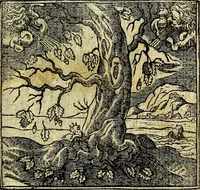 An illustration from Omnia D. And. Alciati Emblemata : ad qvae singula praeter concinnas acutásque inscriptiones, lepidas & expressas imagines, ac caetera omnia, quae prioribus nostris editionibus cùm ad eorum distinctionem, tum ad ornatum & correctionem adhibita continebantur, : nunc primùm perelegantia persubtiliaq́ [ue] (1564)