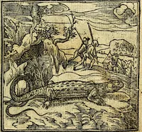 An illustration from Omnia D. And. Alciati Emblemata : ad qvae singula praeter concinnas acutásque inscriptiones, lepidas & expressas imagines, ac caetera omnia, quae prioribus nostris editionibus cùm ad eorum distinctionem, tum ad ornatum & correctionem adhibita continebantur, : nunc primùm perelegantia persubtiliaq́ [ue] (1564)