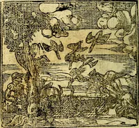An illustration from Omnia D. And. Alciati Emblemata : ad qvae singula praeter concinnas acutásque inscriptiones, lepidas & expressas imagines, ac caetera omnia, quae prioribus nostris editionibus cùm ad eorum distinctionem, tum ad ornatum & correctionem adhibita continebantur, : nunc primùm perelegantia persubtiliaq́ [ue] (1564)