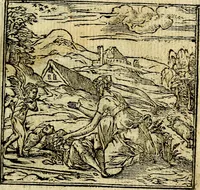 An illustration from Omnia D. And. Alciati Emblemata : ad qvae singula praeter concinnas acutásque inscriptiones, lepidas & expressas imagines, ac caetera omnia, quae prioribus nostris editionibus cùm ad eorum distinctionem, tum ad ornatum & correctionem adhibita continebantur, : nunc primùm perelegantia persubtiliaq́ [ue] (1564)