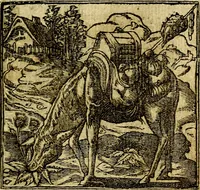 An illustration from Omnia D. And. Alciati Emblemata : ad qvae singula praeter concinnas acutásque inscriptiones, lepidas & expressas imagines, ac caetera omnia, quae prioribus nostris editionibus cùm ad eorum distinctionem, tum ad ornatum & correctionem adhibita continebantur, : nunc primùm perelegantia persubtiliaq́ [ue] (1564)