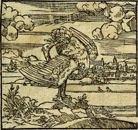 An illustration from Omnia D. And. Alciati Emblemata : ad qvae singula praeter concinnas acutásque inscriptiones, lepidas & expressas imagines, ac caetera omnia, quae prioribus nostris editionibus cùm ad eorum distinctionem, tum ad ornatum & correctionem adhibita continebantur, : nunc primùm perelegantia persubtiliaq́ [ue] (1564)