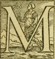 An illustration from Omnivm Caesarvm verissimae imagines ex antiqvis nvmismatis desvmptae : addita per brevi civvsqve vitae descriptiones ac diligenti eorvm qvae reperiri potvervnt nvmismatvm aversae partis delineatione ... (1554)