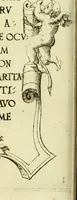 An illustration from Omnivm Caesarvm verissimae imagines ex antiqvis nvmismatis desvmptae : addita per brevi civvsqve vitae descriptiones ac diligenti eorvm qvae reperiri potvervnt nvmismatvm aversae partis delineatione ... (1554)