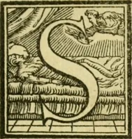 An illustration from Omnivm Caesarvm verissimae imagines ex antiqvis nvmismatis desvmptae : addita per brevi civvsqve vitae descriptiones ac diligenti eorvm qvae reperiri potvervnt nvmismatvm aversae partis delineatione ... (1554)