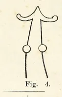 An illustration from Om nordboernes gudedyrkelse og gudetro i hedenold : en antikvarisk undersøgelse (1876)