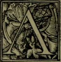 Picture 13 of 30 from Omrou Ilias kai Odysseia meta ts exgsios. Homeri Ilias et Vlyssea cum interpretatione. tn autn polyplokos anagnsis. Variae lectionis in utroq[ue] opere, annotatio (1535), leaf 407