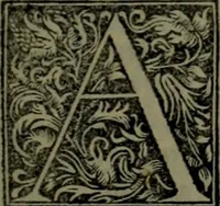 Picture 17 of 30 from Omrou Ilias kai Odysseia meta ts exgsios. Homeri Ilias et Vlyssea cum interpretatione. tn autn polyplokos anagnsis. Variae lectionis in utroq[ue] opere, annotatio (1535), leaf 430