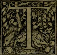 Picture 21 of 30 from Omrou Ilias kai Odysseia meta ts exgsios. Homeri Ilias et Vlyssea cum interpretatione. tn autn polyplokos anagnsis. Variae lectionis in utroq[ue] opere, annotatio (1535), leaf 524