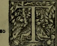 Picture 26 of 30 from Omrou Ilias kai Odysseia meta ts exgsios. Homeri Ilias et Vlyssea cum interpretatione. tn autn polyplokos anagnsis. Variae lectionis in utroq[ue] opere, annotatio (1535), leaf 670