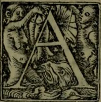 An illustration from Omrou Ilias kai Odysseia meta ts exgsios. Homeri Ilias et Vlyssea cum interpretatione. tn autn polyplokos anagnsis. Variae lectionis in utroq[ue] opere, annotatio (1535)