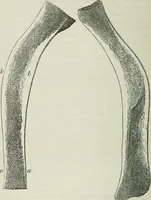 An illustration from On the application of cast and wrought iron to building purposes (1857)