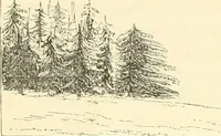 An illustration from On colour, and on the necessity for a general diffusion of taste among all classes (1858)