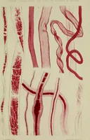 An illustration from On the cotton fibre and on the manner in which it unites with colouring matter (1863)