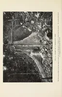 An illustration from On the edge of the primeval forest : experiences and observations of a doctor in equatorial Africa (1922)