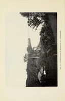 An illustration from On the edge of the primeval forest : experiences and observations of a doctor in equatorial Africa (1922)