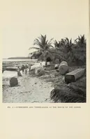 Picture 1 of 6 from On the edge of the primeval forest : experiences and observations of a doctor in equatorial Africa (1922), leaf 8