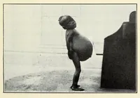 Picture 4 of 6 from On the edge of the primeval forest : experiences and observations of a doctor in equatorial Africa (1922), leaf 97