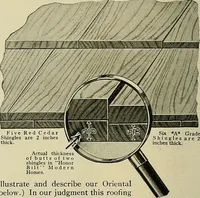 An illustration from One house-or a hundred. (1920)