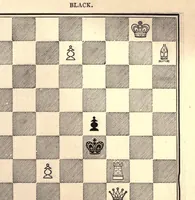 An illustration from One hundred chess problems (1883)