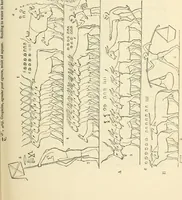 An illustration from The one primeval language traced experimentally through ancient inscriptions in alphabetic characters of lost powers from the four continents including the voice of Israel from the rocks of Sinai and the vestiges of patriarchal tradition from the monuments of Egypt, Eturia, and southern Arabia (1851)