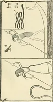 An illustration from The one primeval language traced experimentally through ancient inscriptions in alphabetic characters of lost powers from the four continents including the voice of Israel from the rocks of Sinai and the vestiges of patriarchal tradition from the monuments of Egypt, Eturia, and southern Arabia (1851)