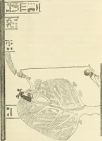 An illustration from The one primeval language traced experimentally through ancient inscriptions in alphabetic characters of lost powers from the four continents including the voice of Israel from the rocks of Sinai and the vestiges of patriarchal tradition from the monuments of Egypt, Eturia, and southern Arabia (1851)