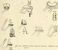 An illustration from The one primeval language traced experimentally through ancient inscriptions in alphabetic characters of lost powers from the four continents including the voice of Israel from the rocks of Sinai and the vestiges of patriarchal tradition from the monuments of Egypt, Eturia, and southern Arabia (1851)