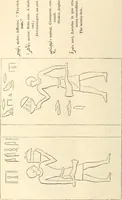 An illustration from The one primeval language traced experimentally through ancient inscriptions in alphabetic characters of lost powers from the four continents including the voice of Israel from the rocks of Sinai and the vestiges of patriarchal tradition from the monuments of Egypt, Eturia, and southern Arabia (1851)