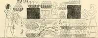 An illustration from The one primeval language traced experimentally through ancient inscriptions in alphabetic characters of lost powers from the four continents including the voice of Israel from the rocks of Sinai and the vestiges of patriarchal tradition from the monuments of Egypt, Eturia, and southern Arabia (1851)